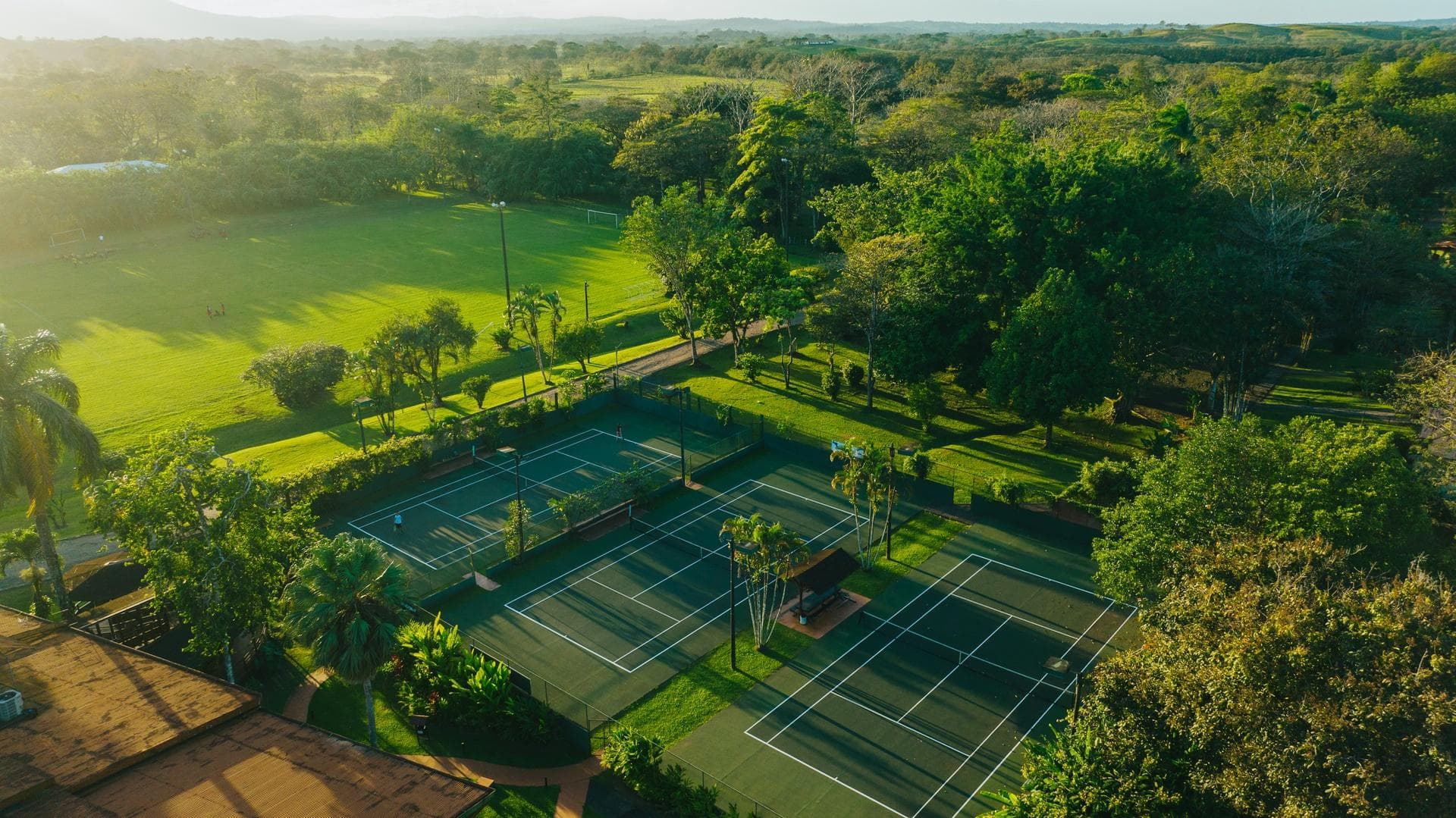 Cole Shoults Costa Rica Tennis Retreat